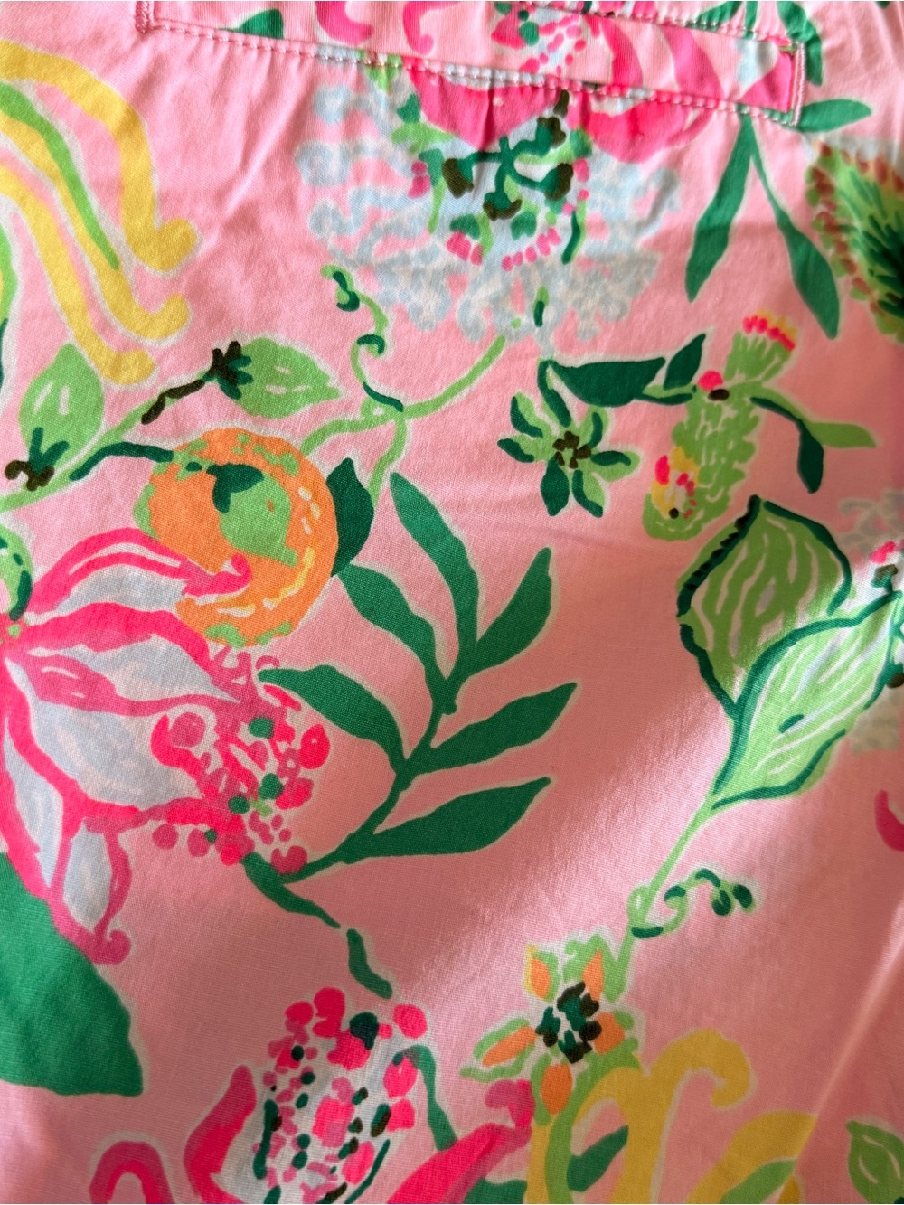 EUC Lilly Pulitzer Stretch Callahan Shorts - Picture 5 of 7